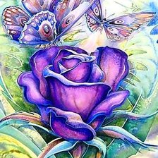 Схема вышивки «А роза пахнет розой....»