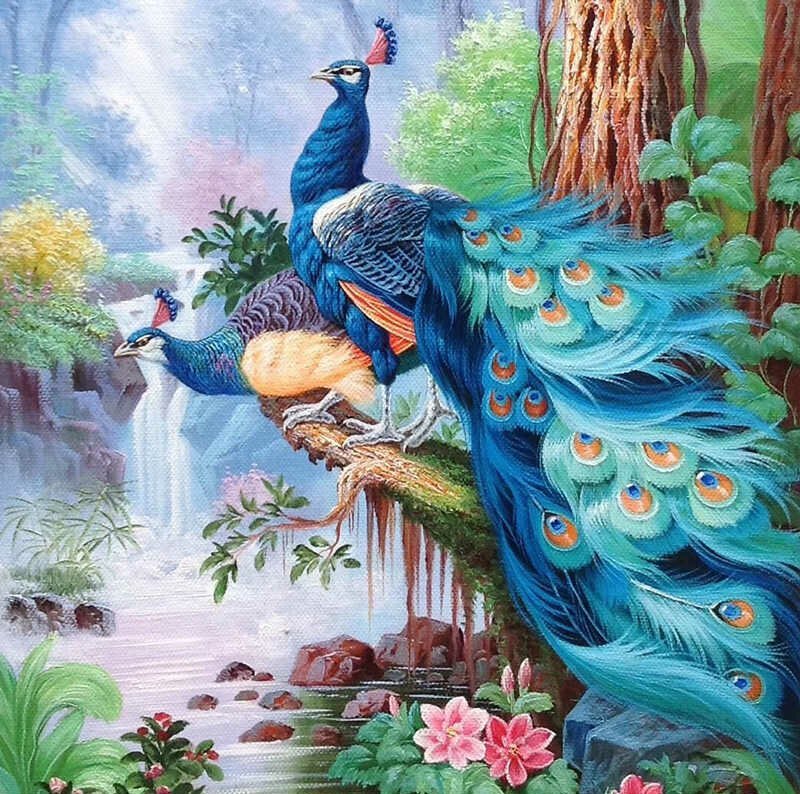 Павлины - оригинал