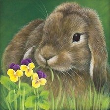 Схема вышивки «кролик»