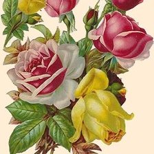 винтажные цветы