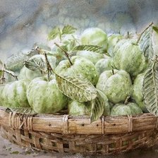 Схема вышивки «гуава»