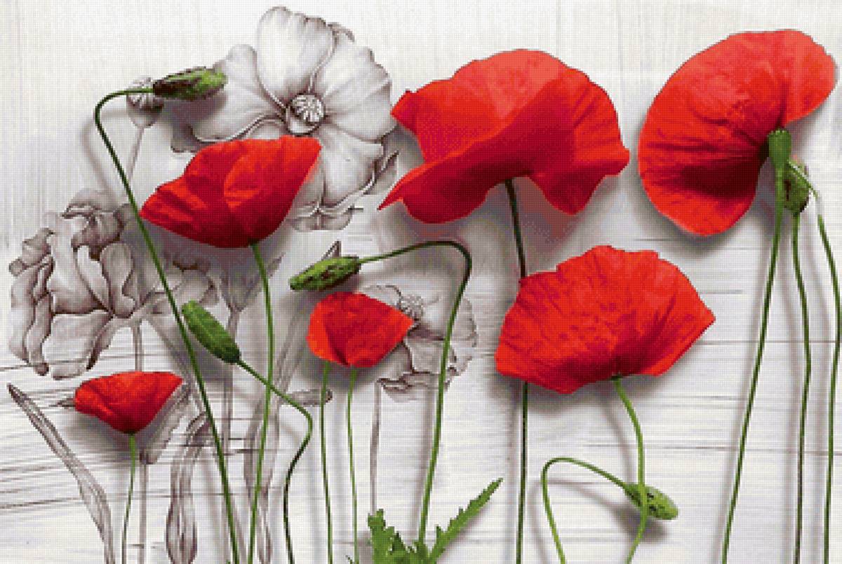 №2168305 - предпросмотр