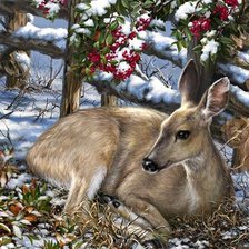 Схема вышивки «дикие»