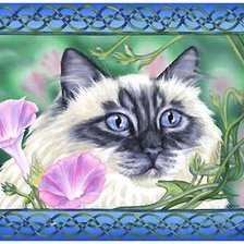 Схема вышивки «№2168474»