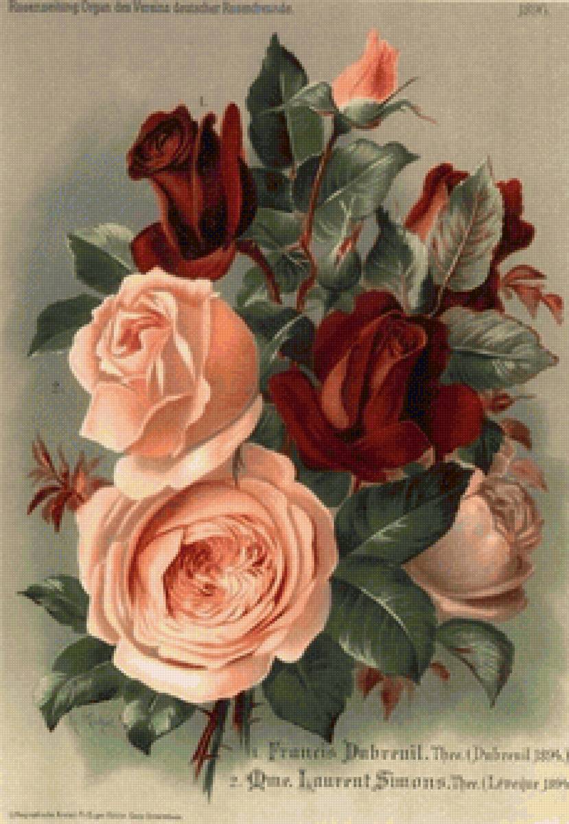 РОЗЫ - цветочные винтажные открытки - предпросмотр