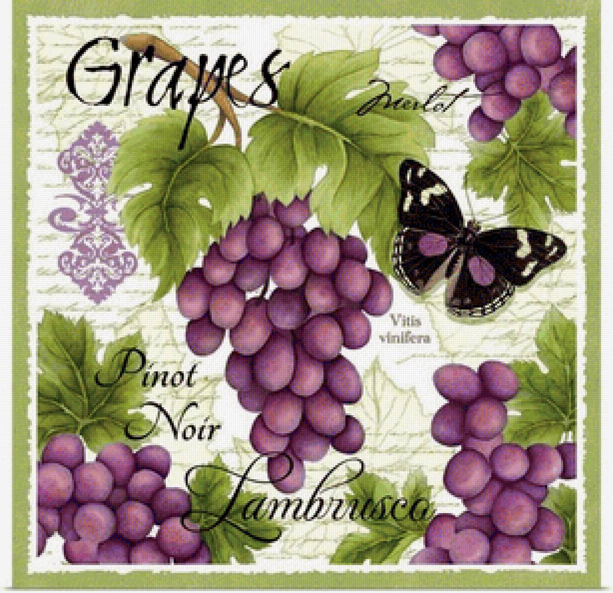 Collage - виноград, бабочки - предпросмотр