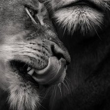 Схема вышивки «пара2»