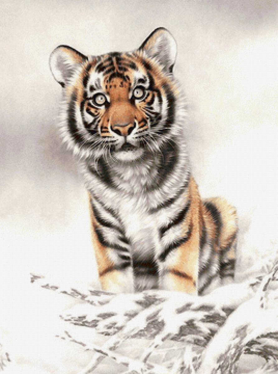 тигрёнок - снег, тигренок - предпросмотр