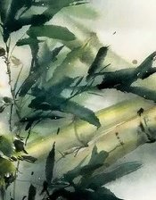 Схема вышивки «Бамбук»