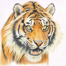 Схема вышивки «№2169046»