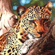 Схема вышивки «№2169049»