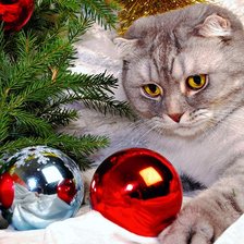 Схема вышивки «новый год, кот»