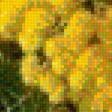 Предпросмотр схемы вышивки «мимоза» (№2169275)