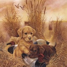 Будущие охотники