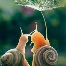 Схема вышивки «Под зонтом......»