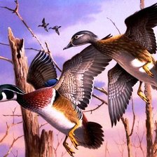 Схема вышивки «Утки»