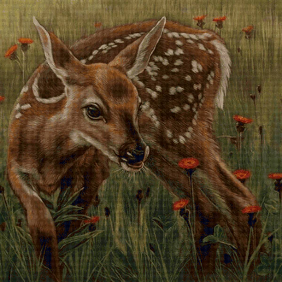 дикие - предпросмотр