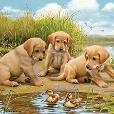 Схема вышивки «А ЭТО ЧТО?»