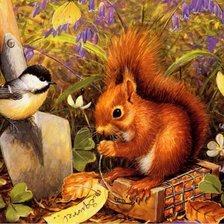 белочка и синичка