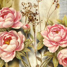 Схема вышивки «Пионы»