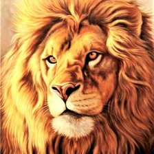 Схема вышивки «№2170506»