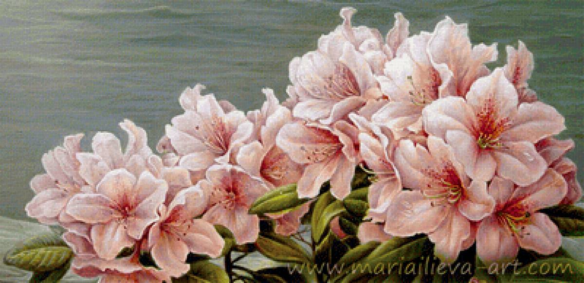 цветы - предпросмотр