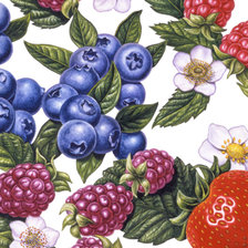 Схема вышивки «№2170923»