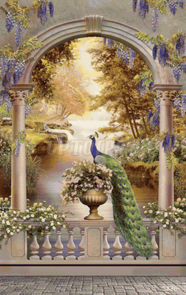 Павлин - предпросмотр