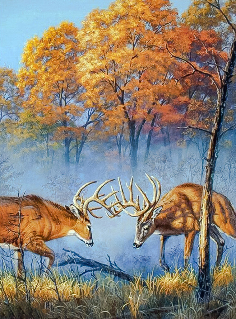 Deers. - scenarys.animals. - оригинал