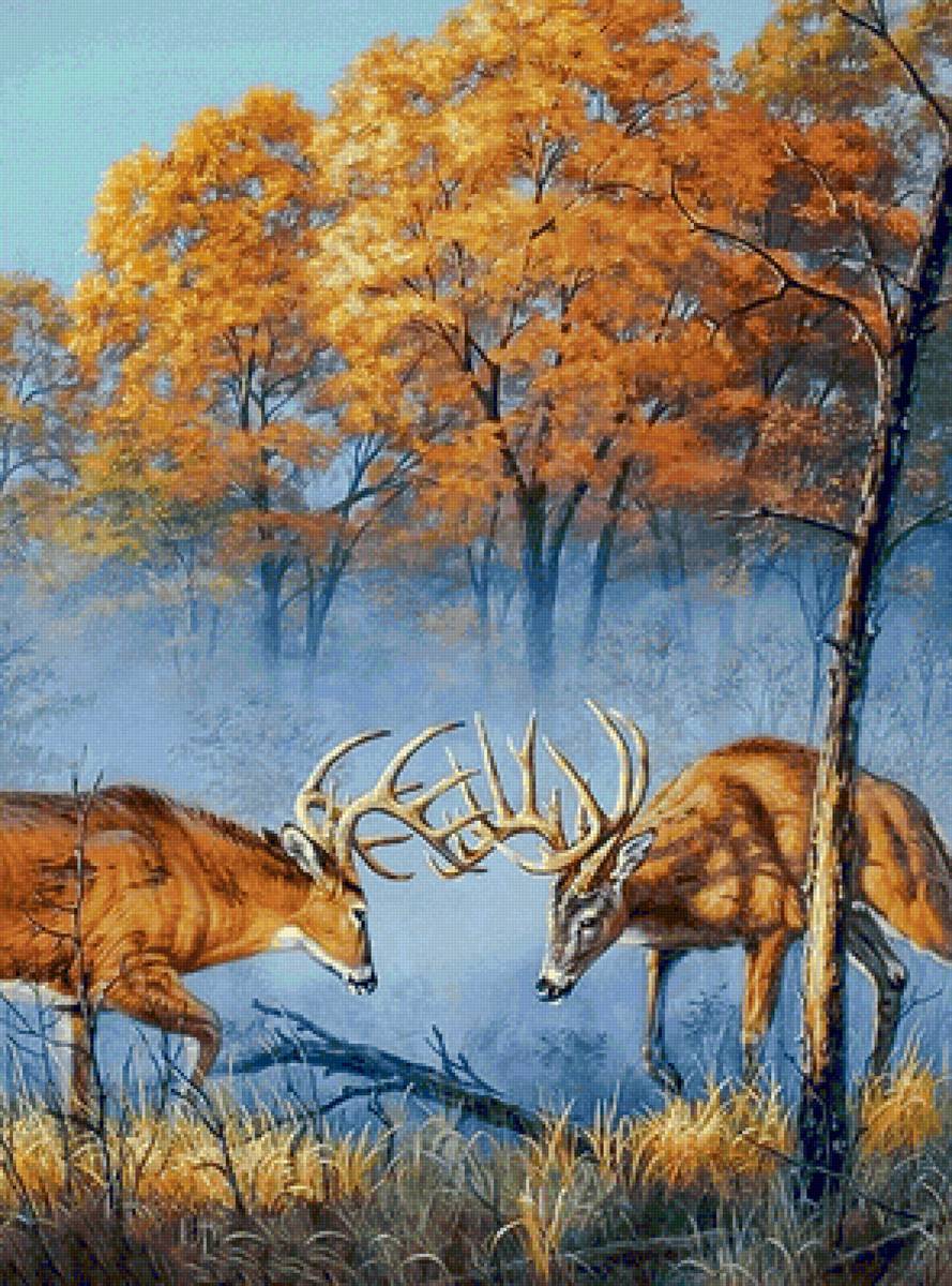 Deers. - scenarys.animals. - предпросмотр