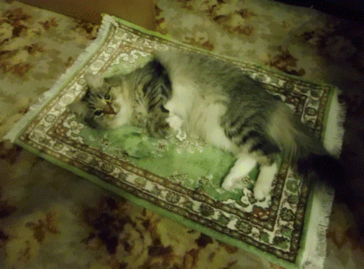 Лаура - ковер, кошка - предпросмотр