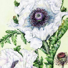 Схема вышивки «Панелька Маки»