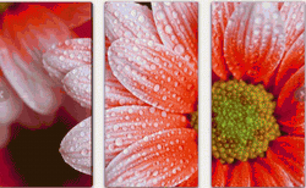 №2171800 - красота, модульная, цветы, гербера - предпросмотр