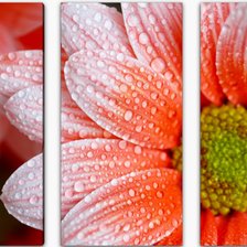 Схема вышивки «№2171800»