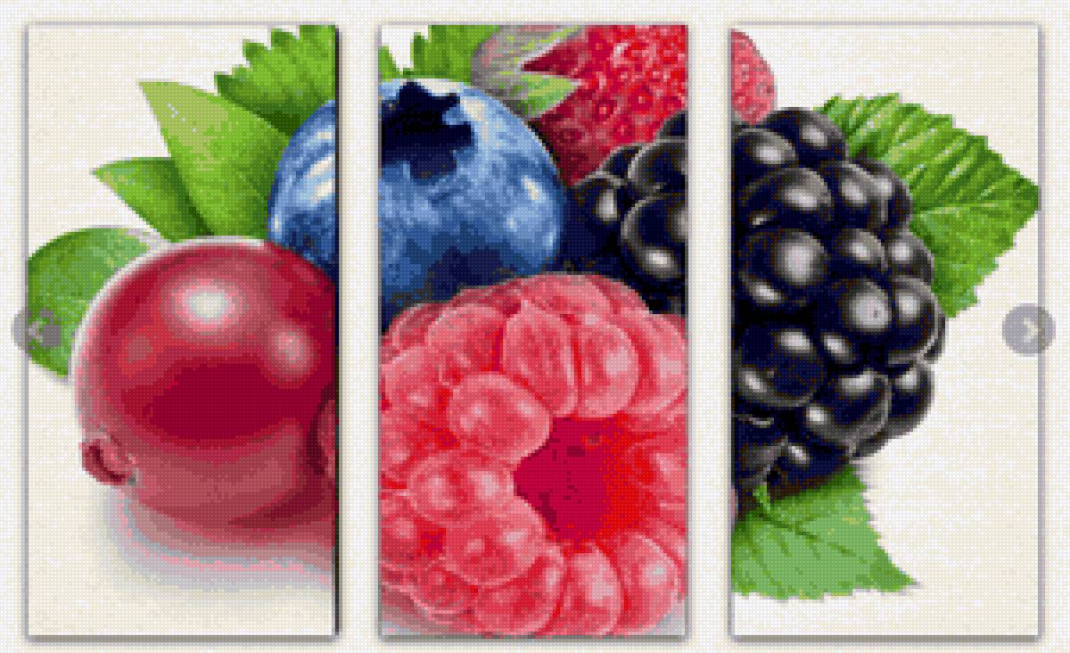 №2171807 - модульная, ягоды - предпросмотр