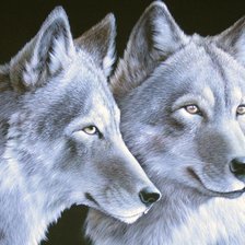 Схема вышивки «два волка»