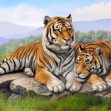 Схема вышивки «Tigres»