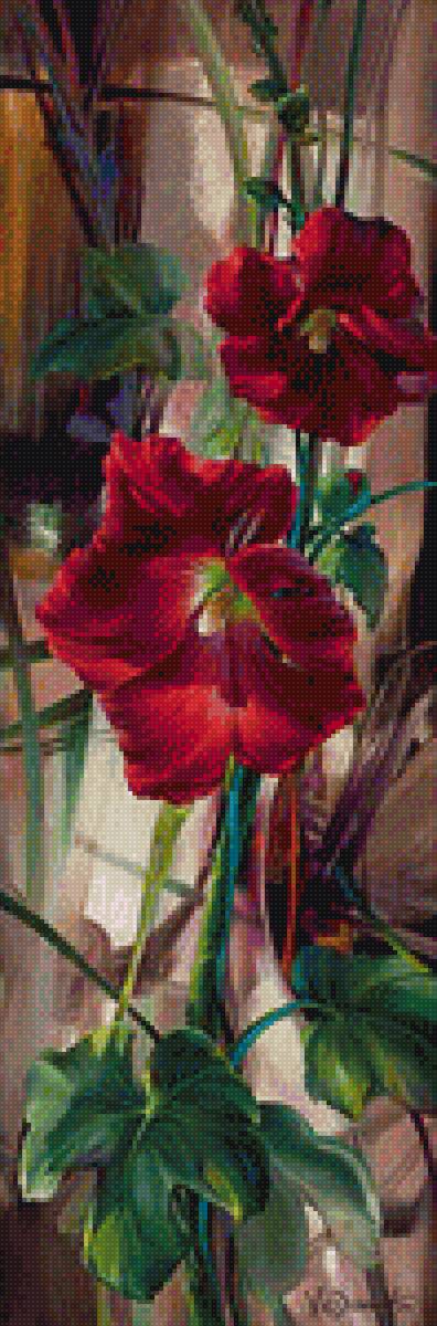 цветы мальвы - мальва, цветы - предпросмотр