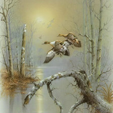 Схема вышивки «Птахи»