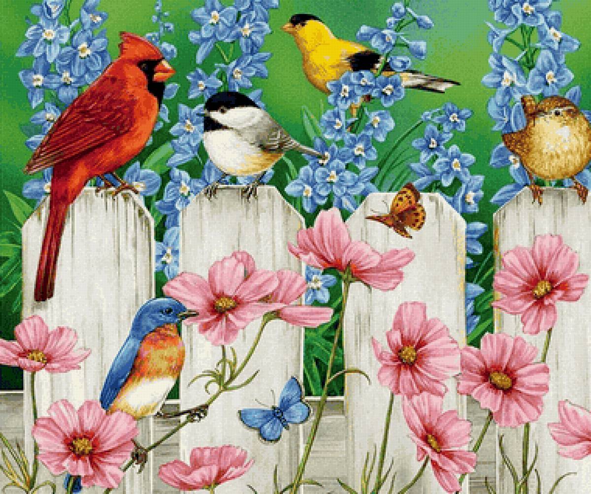 птички - предпросмотр