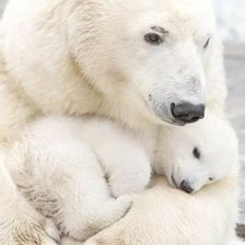 Схема вышивки «медведи»