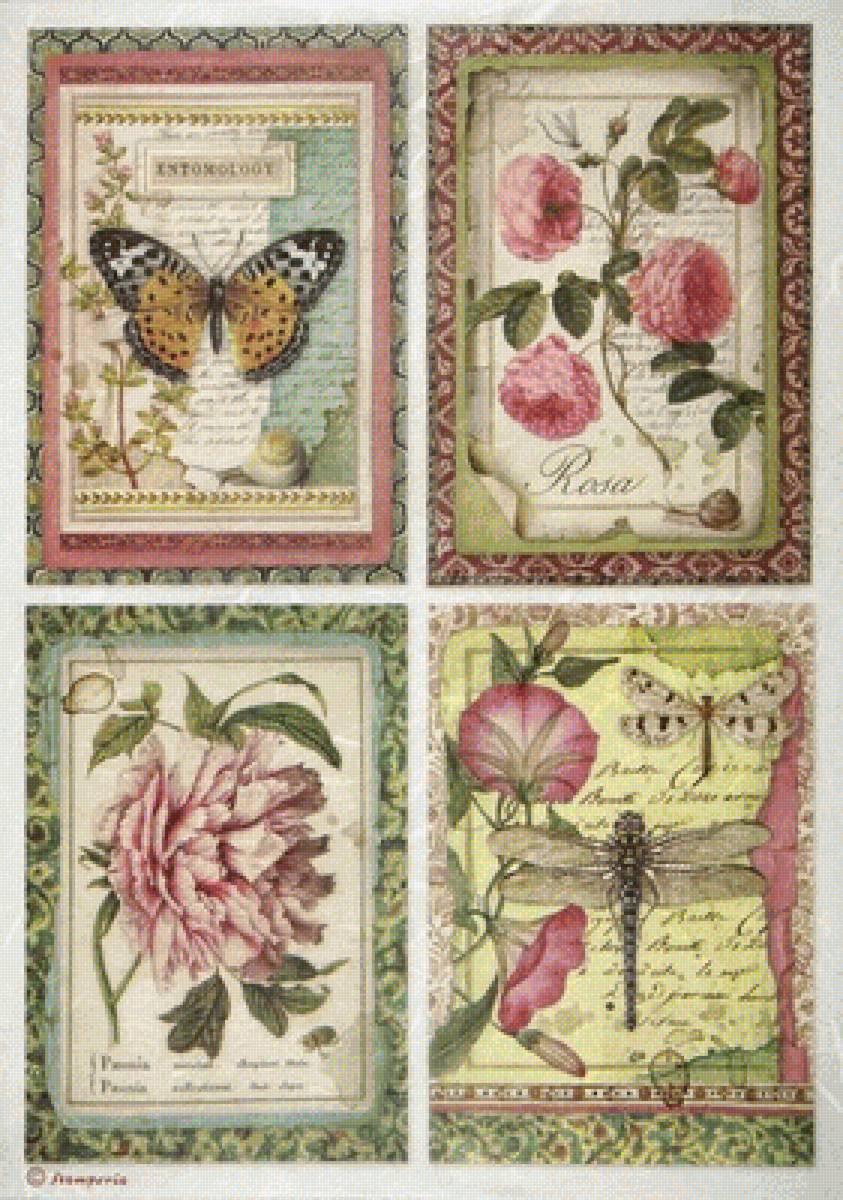 COLLAGE - предпросмотр