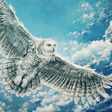 Схема вышивки «Полет совы»