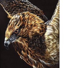 Схема вышивки «265х362»