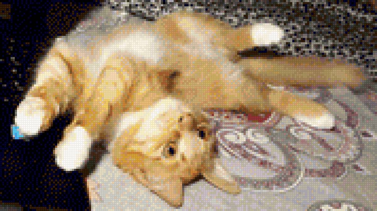 моя рыжая любимка - предпросмотр