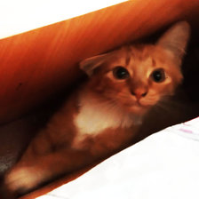 Схема вышивки «спряталась»