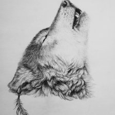 Схема вышивки «Воющий волк»