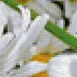 Предпросмотр схемы вышивки «Ромашки» (№2172843)