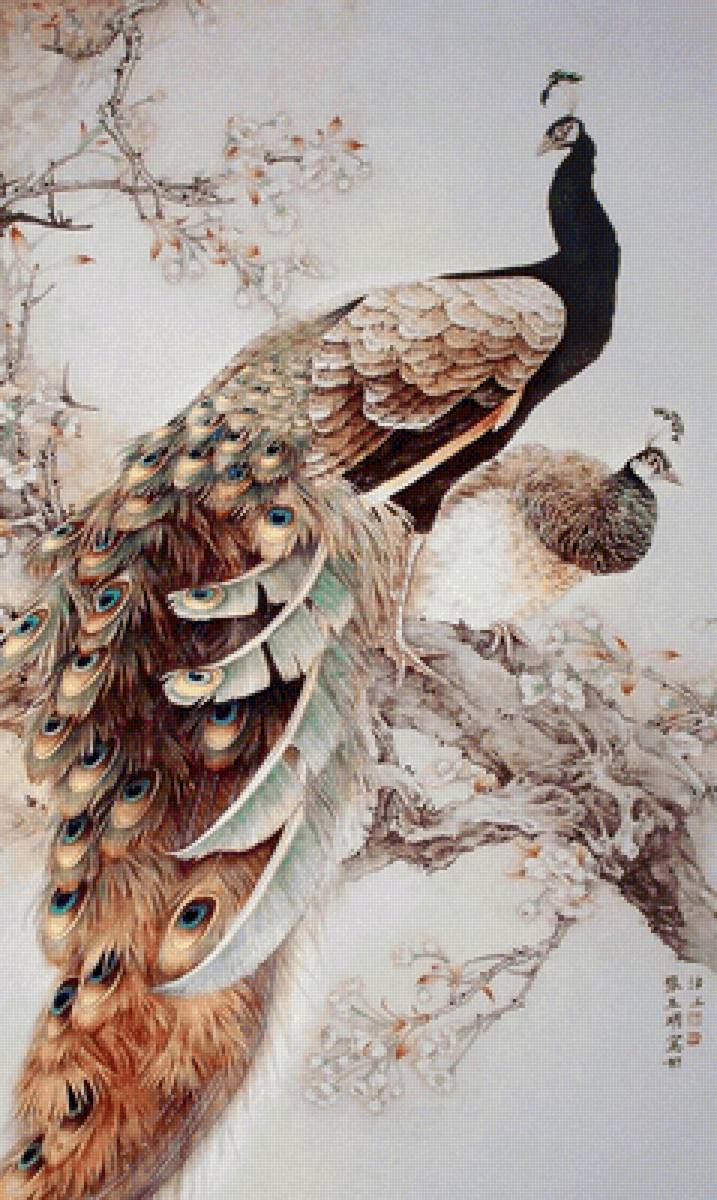 ПАВЛИНЫ - предпросмотр