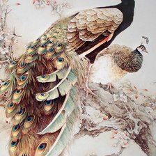 Схема вышивки «ПАВЛИНЫ»